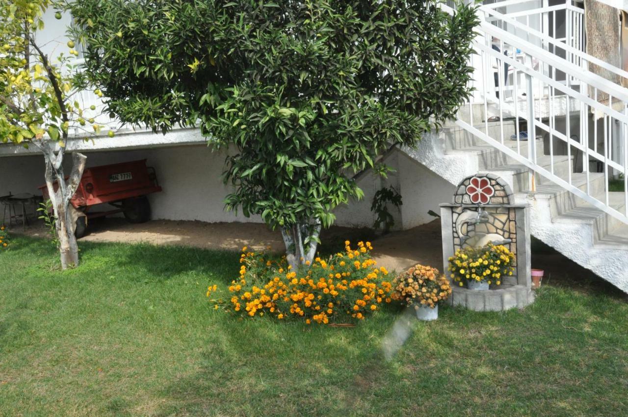 Despina Apartment Keramotí Exteriér fotografie
